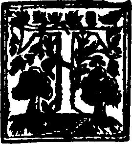080/080960010000020_0.png