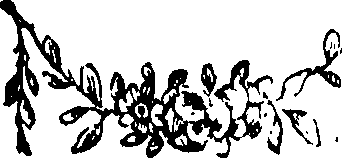 080/080960030000210_0.png