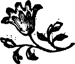 080/080960030000260_0.png