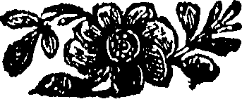 080/080980010100100_0.png