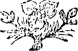 080/080980010103290_0.png