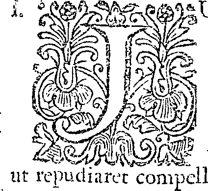 080/080980040000100_0.png