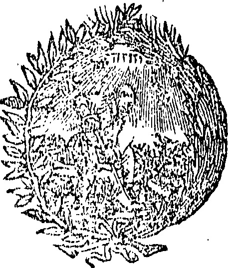 080/080980040008090_0.png