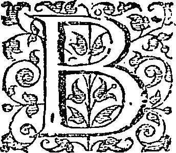 081/081010010100040_0.png