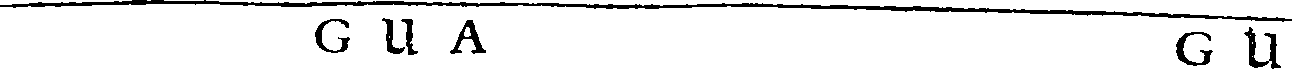 081/081010010106200_0.png