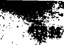 081/081060020000010_1.png