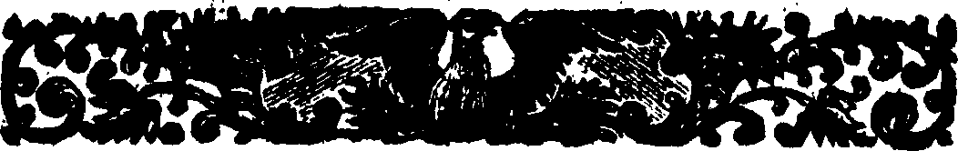 081/081060020000020_1.png