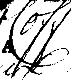 081/081070070000010_2.png