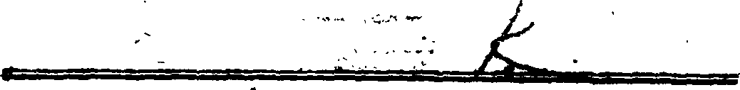 081/081120050000010_1.png