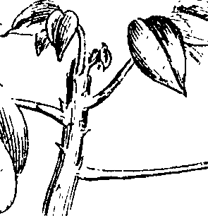 081/081130040002170_0.png