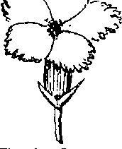081/081130040003720_0.png