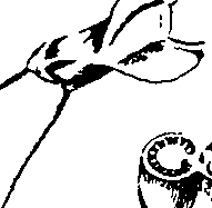 081/081130040003730_0.png