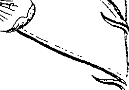 081/081130040003950_0.png