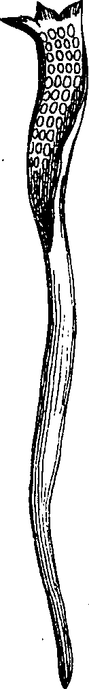 081/081130040004210_0.png