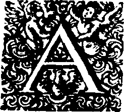 081/081160010000100_0.png