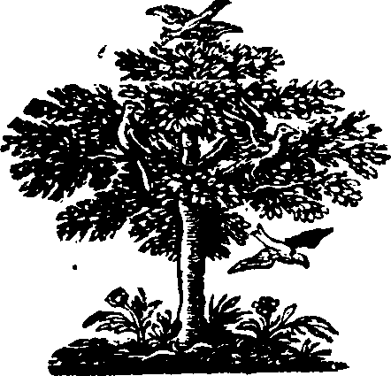 081/081160010001370_0.png