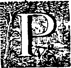 081/081160010002210_0.png
