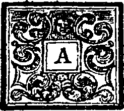 081/081180020000020_0.png