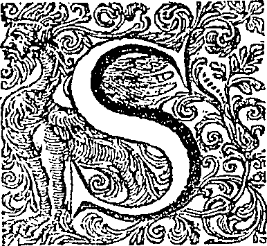 081/081230010000040_0.png