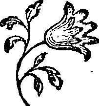 081/081240090000250_0.png