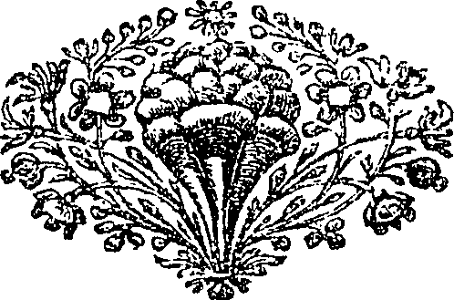 081/081240180000780_0.png