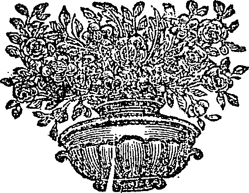 081/081250130001880_0.png