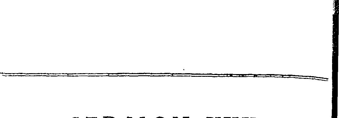 081/081300050002970_0.png