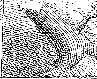 081/081320040000010_0.png