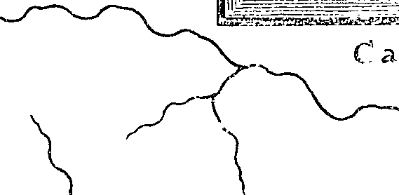 081/081320040000030_0.png