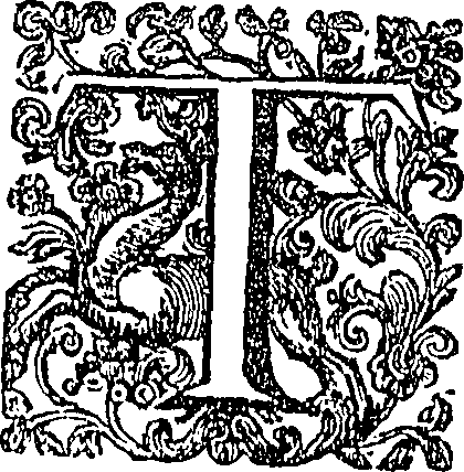 081/081340010000020_0.png