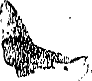 081/081340050002760_0.png