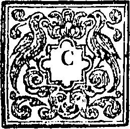 081/081340070102640_0.png