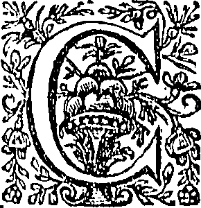 081/081340070200370_0.png