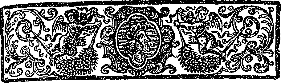 081/081340070200970_2.png