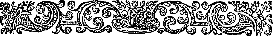 081/081340070202250_1.png