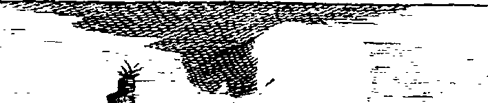 081/081350020003080_0.png