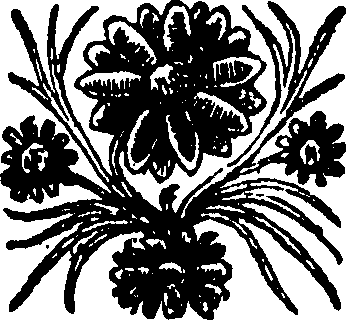 081/081360030000040_0.png