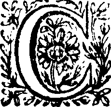 081/081360030000050_0.png