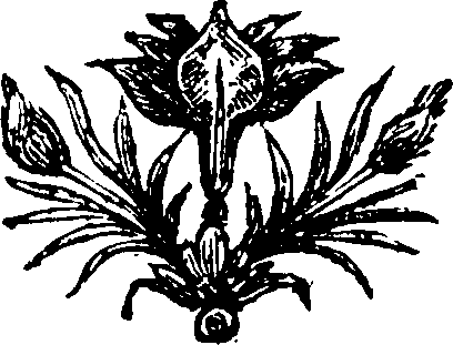 081/081360030000090_0.png