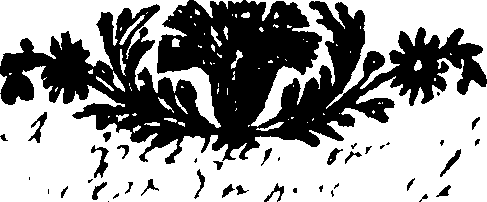 081/081360030001810_0.png