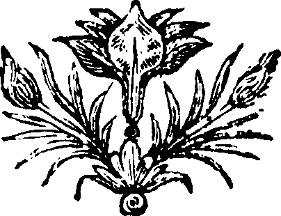 081/081360030002080_0.png