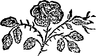 081/081440020400020_0.png