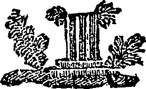081/081440020603880_0.png