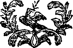 081/081450010800020_0.png