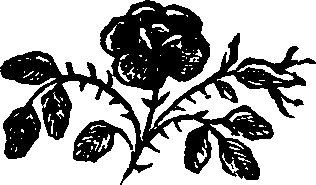 081/081450010900020_0.png