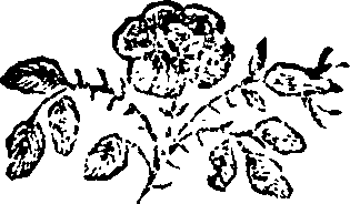 081/081450011000020_0.png