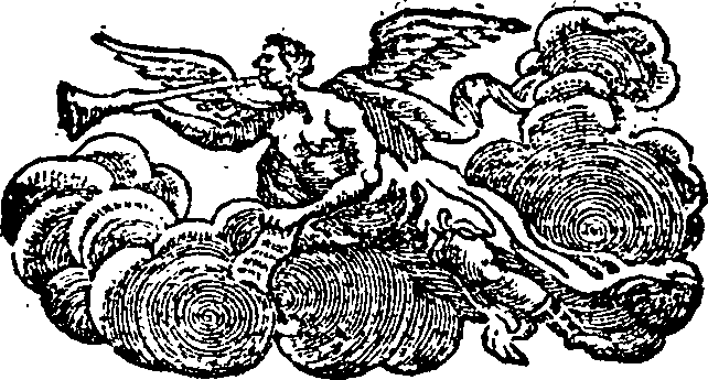 081/081460010003650_0.png