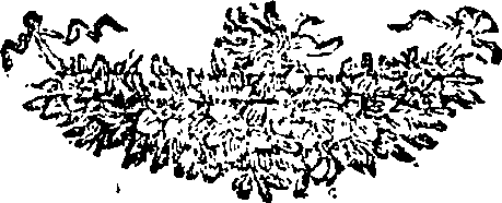 081/081470050000020_0.png