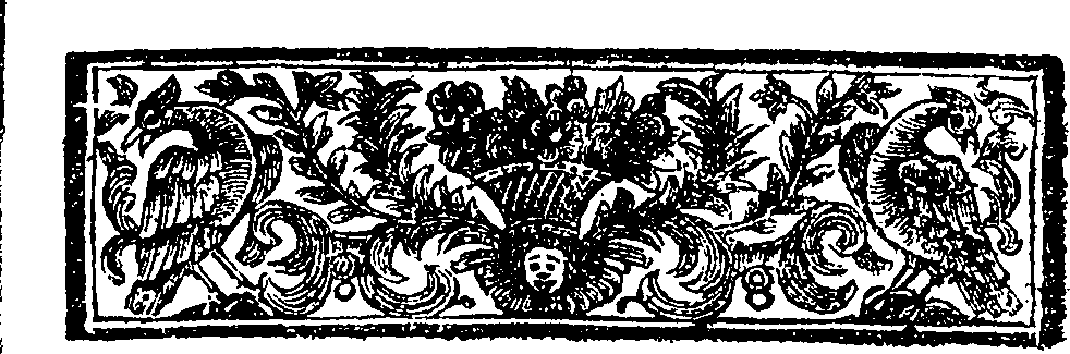 081/081490040000030_1.png