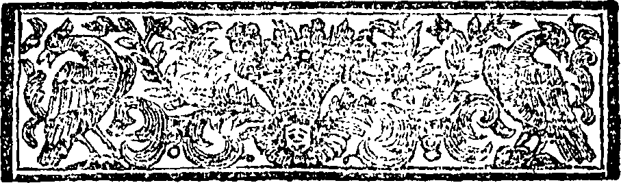 081/081490040000340_1.png